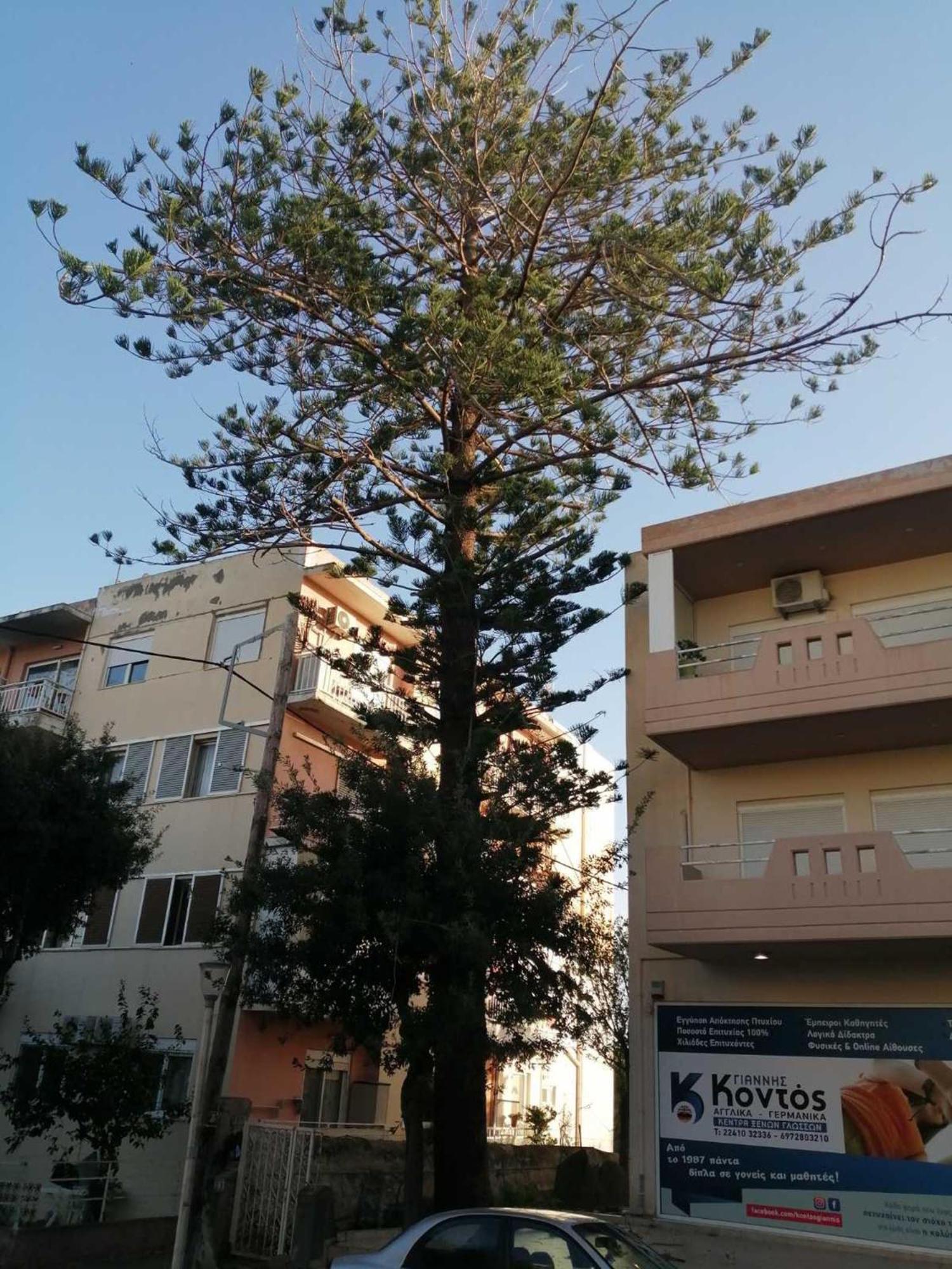 Apartment 29 Rhodes City Ngoại thất bức ảnh